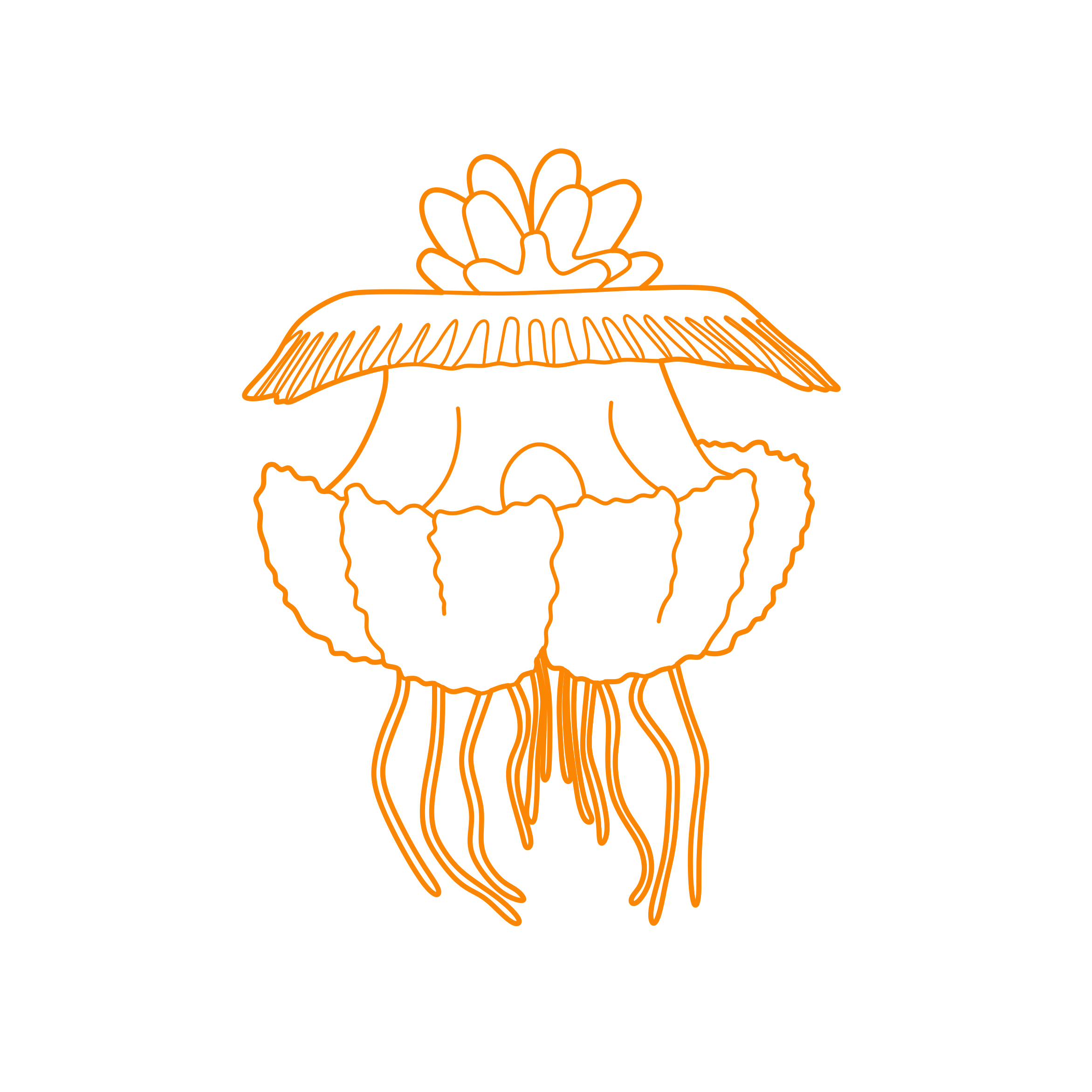 Animals Jellyfish Crowned Jellyfish Stencil Svg Design File Free Vectors